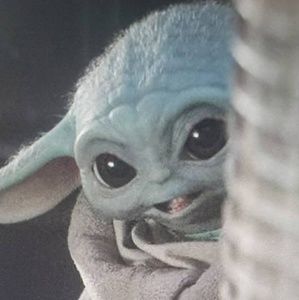 Meet your Posher, Natasha